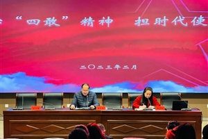学“四敢”精神 担时代使命——高师附小党支部二月份主题党日活动