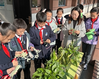 【活力校园】兴趣点燃梦想 特色浸润童年——小海小学剪纸社团风采展示