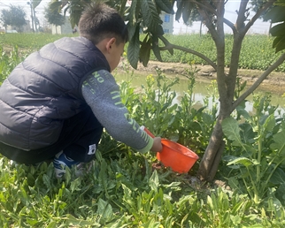 【培原•活动】 护绿小卫士，绿动春天行 ——一年级植树节趣记