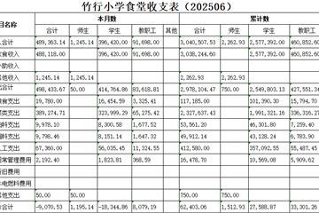 食堂收支表202506