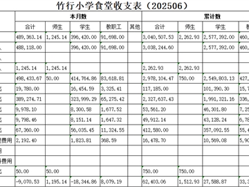食堂收支表202506